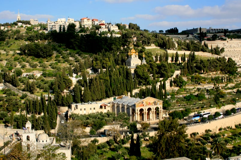 Mt. of Olives – Palm Sunday Road – Gethsemane Garden – Caiaphas House – Ecce Homo – Via Dolorosa – Garden Tomb