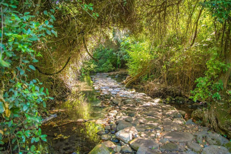 Banias – Golan Heights – Mt. Arbel – Valley of Doves – Sea of Galilee