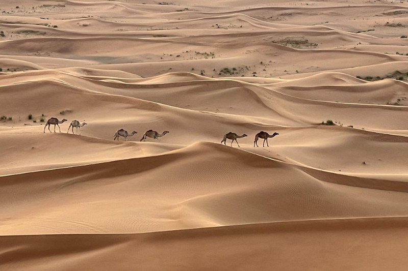 Dubai – Desert Safari